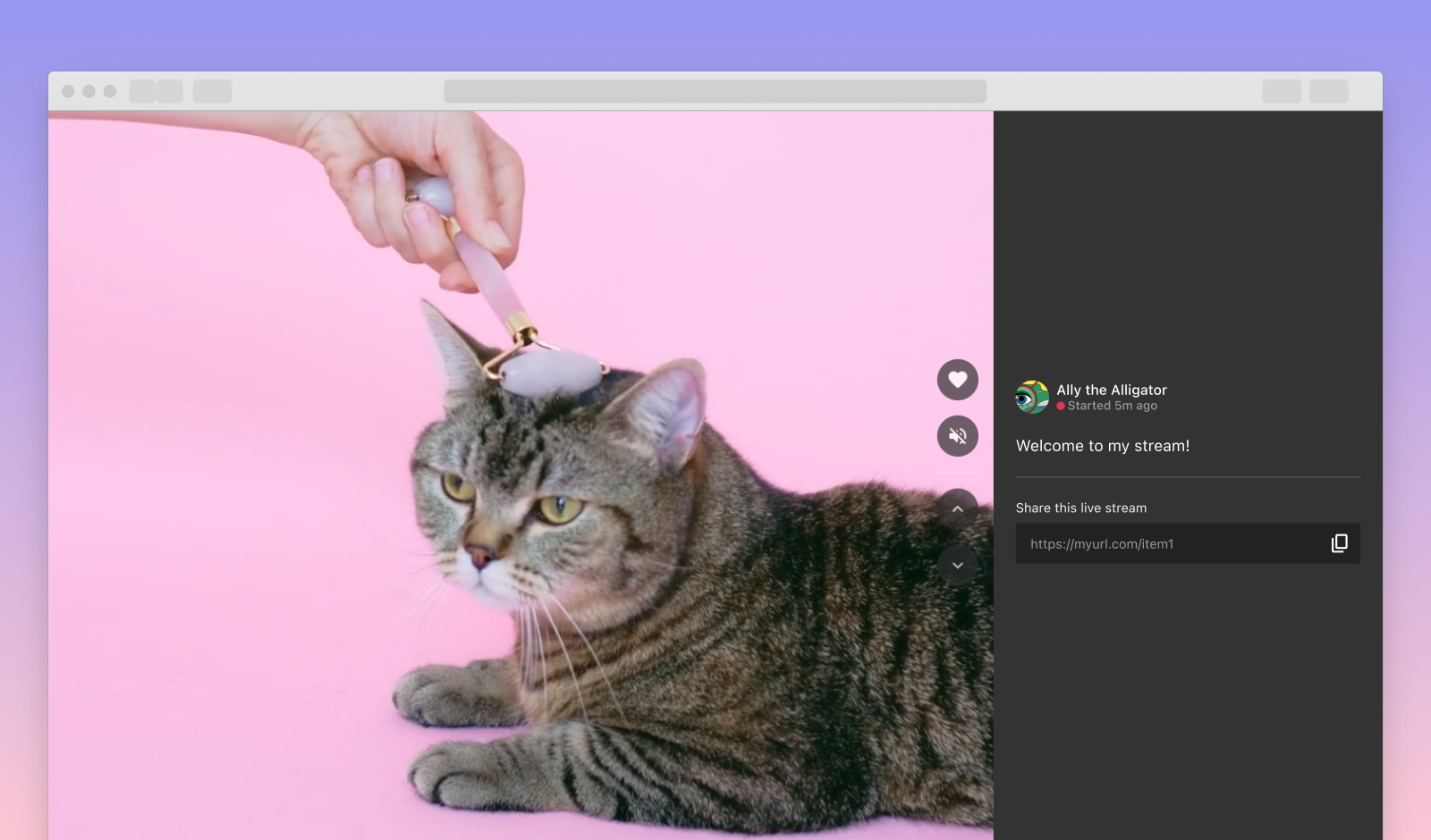 Amazon IVS Feed Web Demo